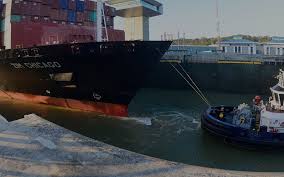 Pt evergreen shipping agency indonesia. Shipping Schedules Zim