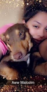 Lost dog found in downtown Jordan