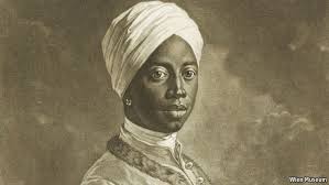 Image result for Afrosolen schimperi