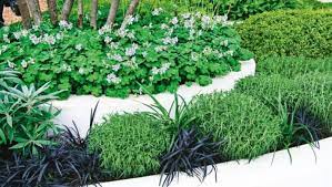 We did not find results for: Pretty Plants For Edging A Path Stuff Co Nz