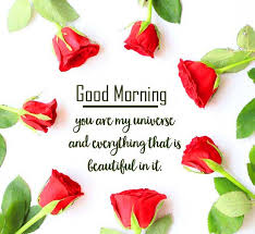 If you're looking more beautiful good morning flowers images to your loved one in the morning. 97 Romantic Good Morning Quotes For Wife Latest Collection Pix Trends