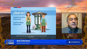 Hoy revisamos los requisitos para ganar $3.500.000 y emprender !! Sercotec Abre Convocatoria Para Postular Al Programa Capital Abeja Ufromedios
