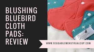 Since 1993, this company has provided reusable menstrual pads to thousands of women around the globe. Top 5 Organic Cloth Menstrual Pads Help Choosing The Best Ones