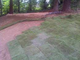 We can be reached at your convenience: Sod Installation In Buford Dacula Gwinnett Perfekt Erth Landscaping
