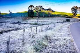 Mais um dia frio no sul para registro em nossos painel de aquecimento solar 👍👍👍👍 Sul De Minas Tem O 4Âº Dia De Geadas Terra Do Mandu Noticias De Pouso Alegre E Regiao