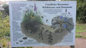 Und sogar aus polen kommen im winter blesshühner zu uns geflogen, die bei uns in berlin überwintern und unsere ziehen teilweise richtung westen, sieht man derart. Wildes Hessen Mehr Vielfalt In Garten Dorf Und Stadt
