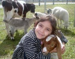 Check spelling or type a new query. Mobile Petting Zoo Rentals For Kids Fun Factory Parties