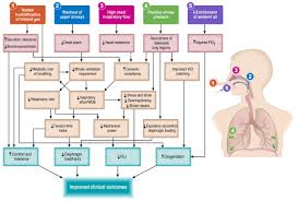 Summary this guideline presents the current best evidence for humidified high flow nasal cannula oxygen. Ats Blue Journal On Twitter Not Just Oxygen Mechanisms Of Benefit From High Flow Nasal Cannula In Hypoxemic Respiratory Failure Https T Co Jkqgfldvdc Atscommunity Https T Co Ciaqob8njp