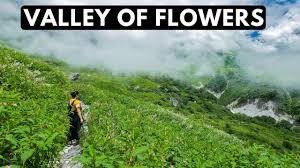 Valley of flowers trek difficulty level: Valley Of Flowers Trek August 2020 Best Trek In Uttarakhand A Unesco World Heritage Site Youtube