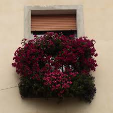 Today i will be building beautiful window boxes for cheapest price. Looking At Window Boxes In San Daniele