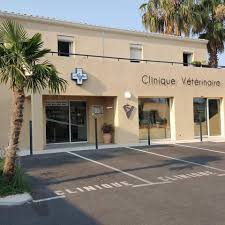 Clinique Veterinaire Les Palmiers