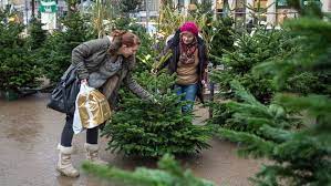 Ab wann kann man weihnachtsbäume eigentlich kaufen? Weihnachtsbaum Kaufen Darauf Sollten Verbraucher Achten Ndr De Ratgeber