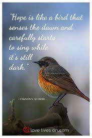 Pin By Gina Frake On Love Birds Quotes Remembering Dad Remembering Dad Quotes Dad Memorial Quotes