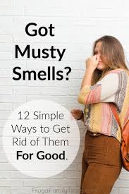 If you deal with the same problem as well, then here is how to get rid. How To Get Rid Of Musty Smells 11 Simple Ways Musty Smell In House Old Basement Old House Smells