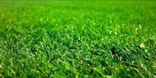 Cutting edge lawn care service. Cutting Edge Lawn Care Home Facebook