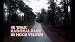 4K Nature Walk : Massive National Park in The Netherlands ... - YouTube