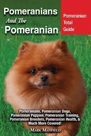 Put your pomeranian puppy in the spotlight for everyone to see. Buy Pomeranians And The Pomeranian Pomeranian Total Guide Pomeranians Pomeranian Dogs Pomeranian Puppies Pomeranian Training Pomeranian Breeders Pomeranian Health Much More Covered Book Online At Low Prices In India Pomeranians