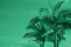 Car insurance for florida drivers. Florida Car Insurance Florida Sr22 Insurance The General