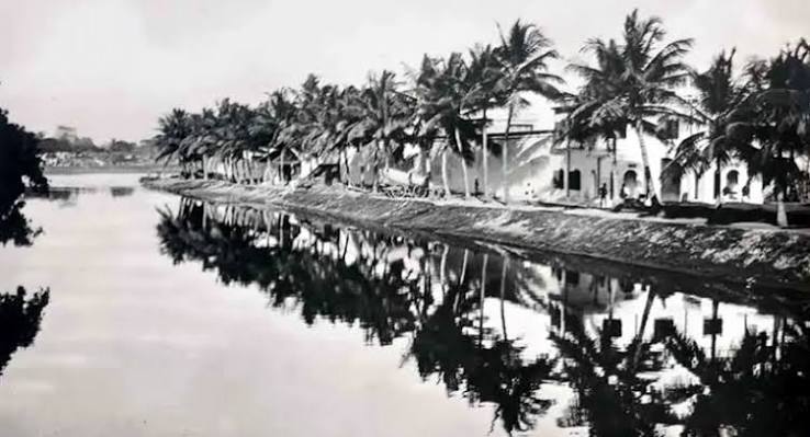 Cooum river in 1900 and 1920