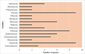 An Ethnobotanical Survey Of Indigenous Medicinal Plants In