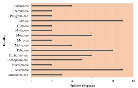 An Ethnobotanical Survey Of Indigenous Medicinal Plants In