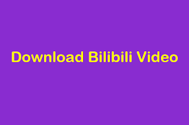 Download them to watch offline at any time you want. 3 Online Tools Help You Download Bilibili Video Easily
