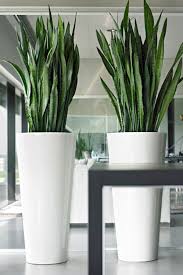Cool Unique Modern Precast Planters To Make Your Outdoors Stylish Https Hajarfresh Com Unique Modern Large Floor Vase Large Indoor Plants House Plants Decor