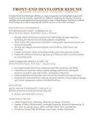 Brilliant and creative it professional with bachelor's degree in information technology and. Front End Developer Resume Sample Writing Tips