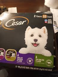 Heads lights people. PLEASE