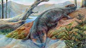 Bakteri ini dapat hidup di dalam tubuh tanpa menimbulkan gejala. Zaman Paleozoikum Pengertian Sejarah Ciri Dan Peninggalannya Insan Pelajar