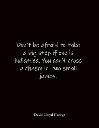 Don T Be Afraid To Take A Big Step If One Is Indicated You Can T Cross A Chasm In Two Small Jumps David Lloyd George Quote Lined Notebook Journal Large 8 5 X