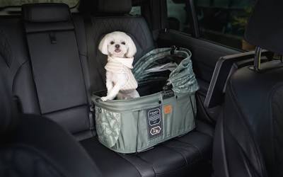 Secured rear-seat carrier for small dogs., AI generated