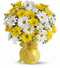 From a classic white daisy, to bouquets that include pink daisies and fromyou flowers.com offers stunning arrangements with daisies in all colors of the rainbow. Teleflora S Upsy Daisy Mahopac Ny Florist