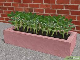 They are quite unusual and looks really modern. How To Make Concrete Planters 14 Steps With Pictures Wikihow