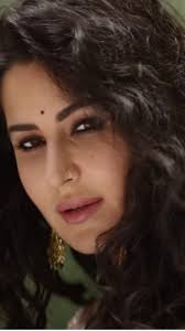 Vicky Kaushal And Katrina Kaif's Astrological Compatibility