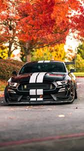 Pin De Jose Gomes Em Mustang Super Carros Carros Rebaixados Carros Luxuosos