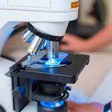 Image result for Polarized Microscopy