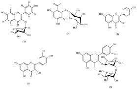 Image result for Gouania longispicata