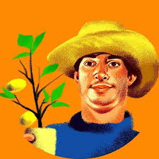 The Urban Rescue Ranch (@urbanrescueranch) • Facebook