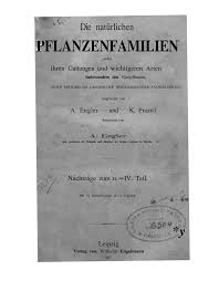 Image result for Pseudobromus engleri