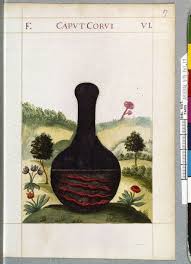 Caput Corvi Capucins De La Rue Saint Honore Folio 17 Planche 6 Symboles Alchimie Rue Saint Honore Alchimie