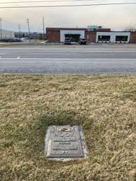 Dorothy Pearl Stamm Hook (1922-2000)