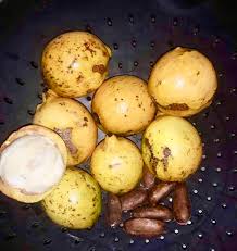 Image result for Garcinia buchneri