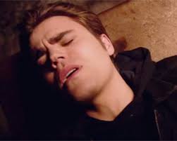 Vampire Diaries' Recap: Stefan Dies? -- Season 5 Episode 21