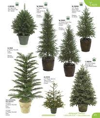 Front Yard Landscaping Walkway And Fencing Ideas Backyard Trees Evergreen Trees Landscaping Evergreen Landscape