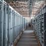 Brazil Poised to Become a Global Digital Infrastructure Hub Amid Investment Needs and Policy Challenges