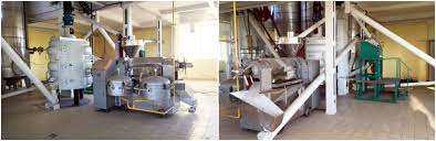Best Groundnut Oil Extraction Machine Manufacturer Exporter