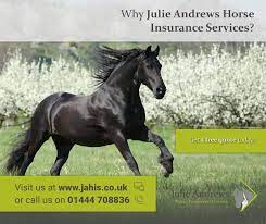 julie andrews horse insurance horses beautiful horses animals
