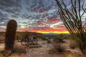 The nearest airport is scottsdale airport, 17 km from the accommodation. Long Loop Mountain Bike Trail Fountain Hills Arizona
