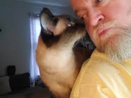 Jamie Snell (@artist_jamiesnell) • Instagram photos and videos